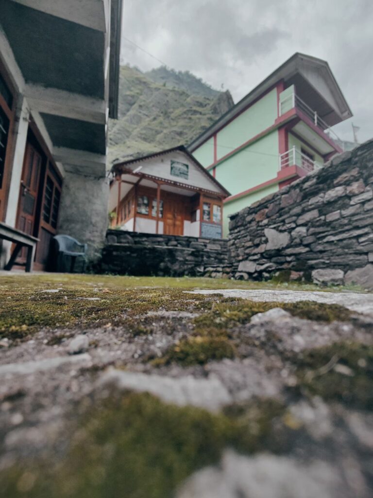 photo 6208488626845759263 y min